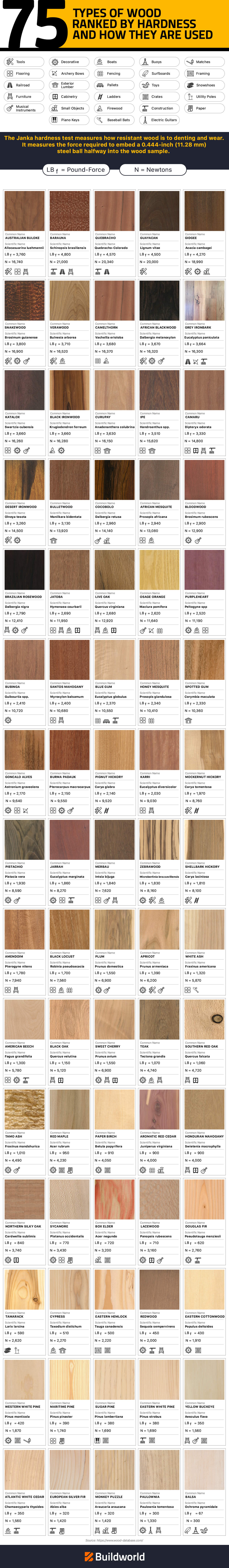 Types of Wood Hardness Infographics