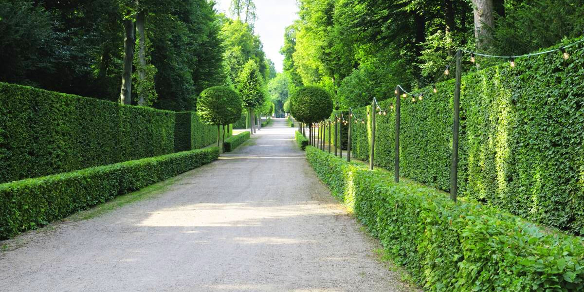 Fences With A Hedge