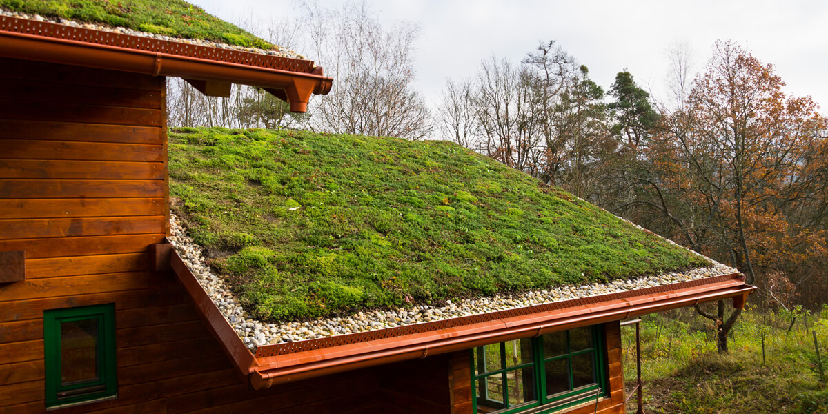 Green Roofs